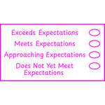 Teacher stamp “Expectations – 4 Criteria” with four-level expectations feedback scale – Pink ink