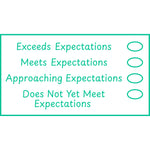 Teacher stamp “Expectations – 4 Criteria” with four-level expectations feedback scale – Green ink